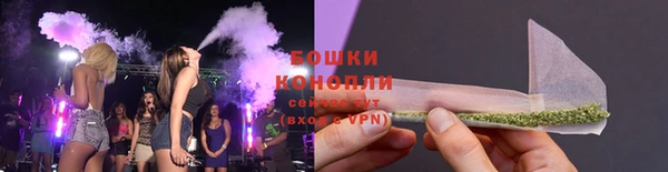 эйфоретик Богданович